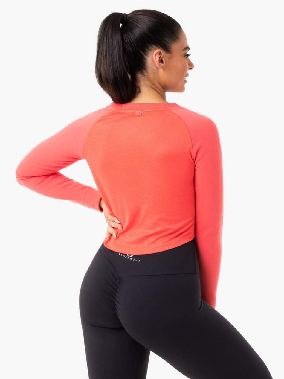 Coral Women's Ryderwear Staples Cropped Sweater Top | ES6190015